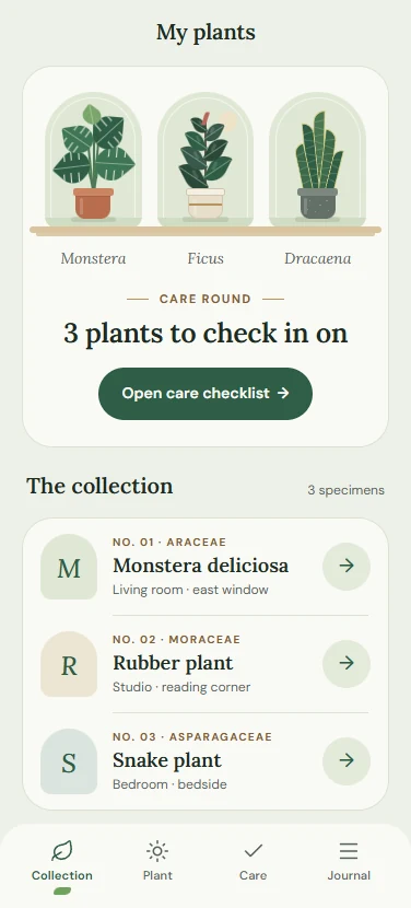 Cedar's Collection screen.